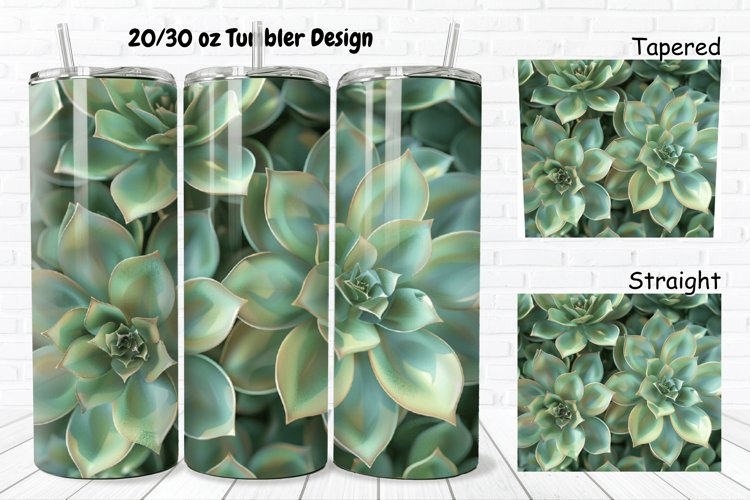 Succulent Clipart Image 6