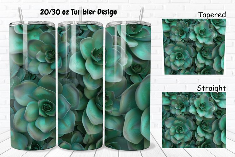 Succulent Clipart Image 12