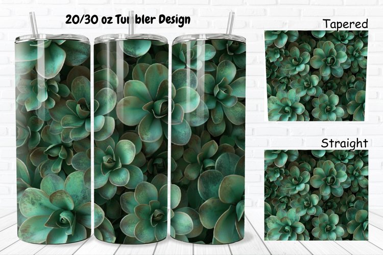 Succulent Clipart Image 13