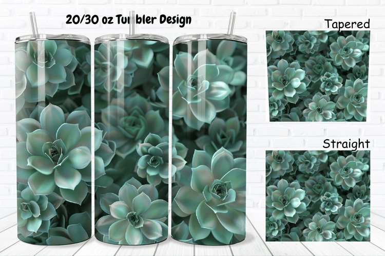Succulent Clipart Image 8