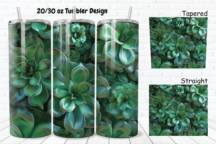 Succulent Clipart Image 4