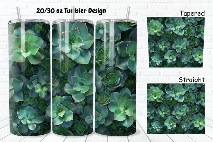 Succulent Clipart Image 2