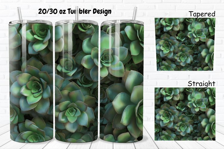 Succulent Clipart Image 17