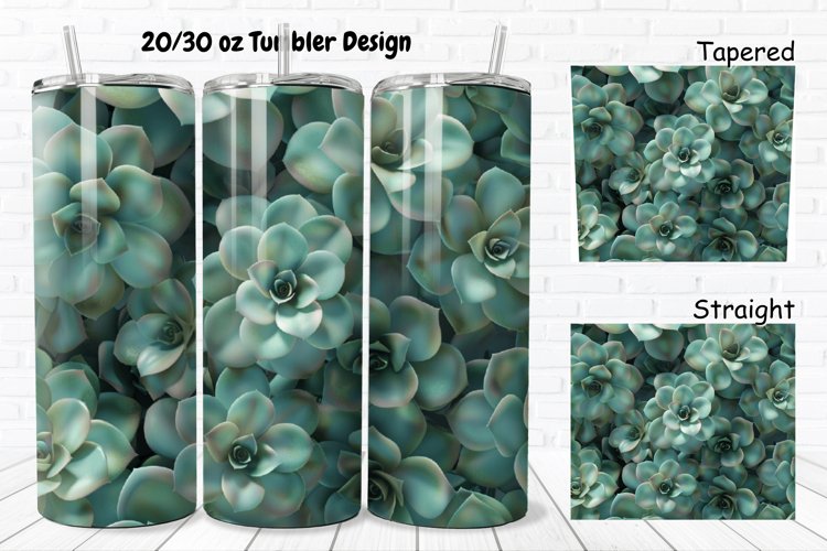 Succulent Clipart Image 17