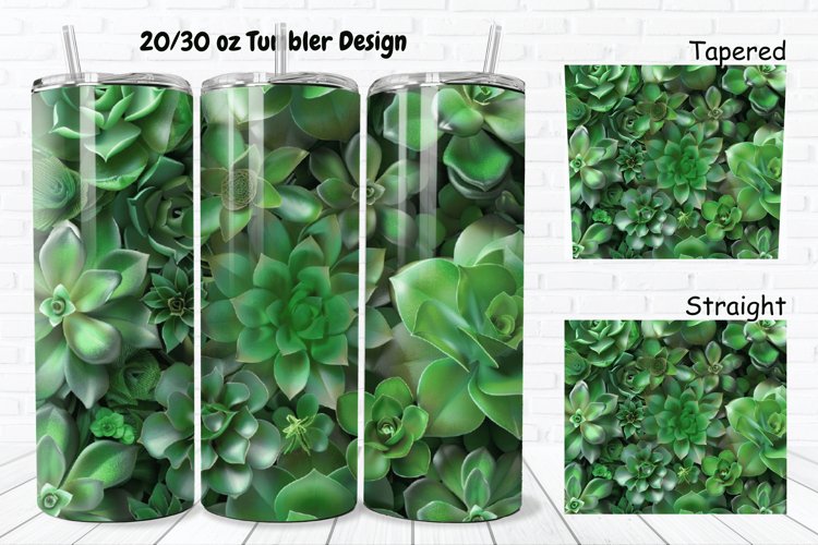 Succulent Clipart Image 11