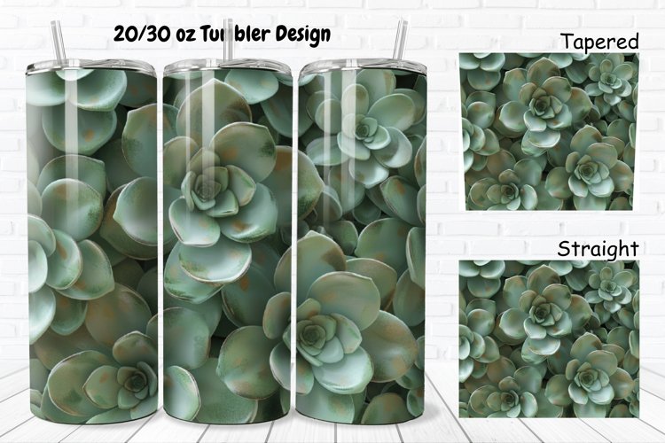 Succulent Clipart Image 2