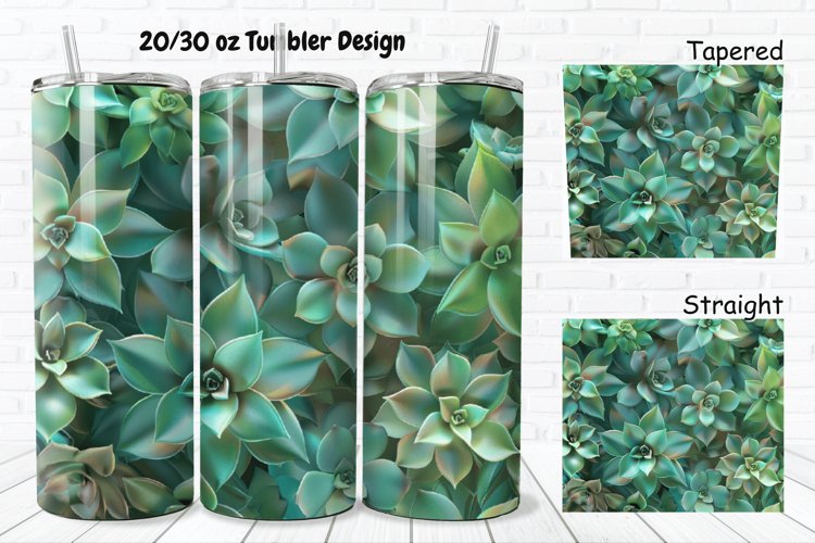 Succulent Clipart Image 3