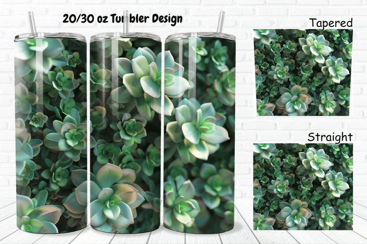 Succulent Clipart Image 14
