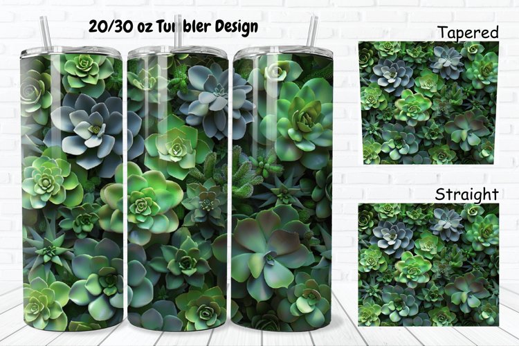 Succulent Clipart