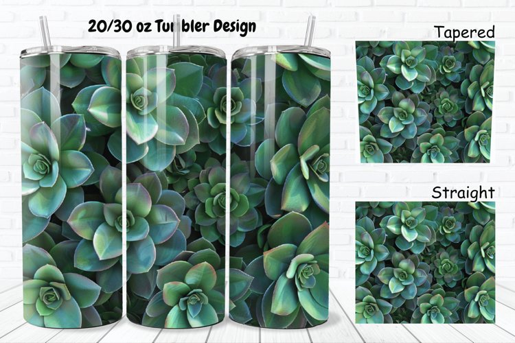 Succulent Clipart Image 15