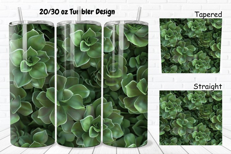 Succulent Clipart Image 13