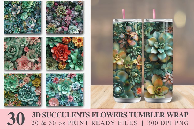 Succulent Clipart Image 8