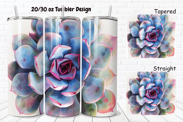 Watercolor Succulent Clipart Image 12
