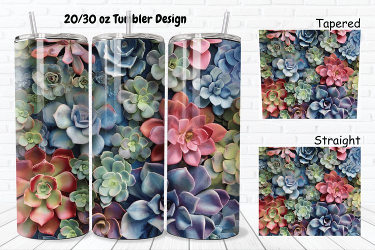 Watercolor Succulent Clipart