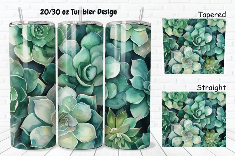 Watercolor Succulent Clipart Image 15