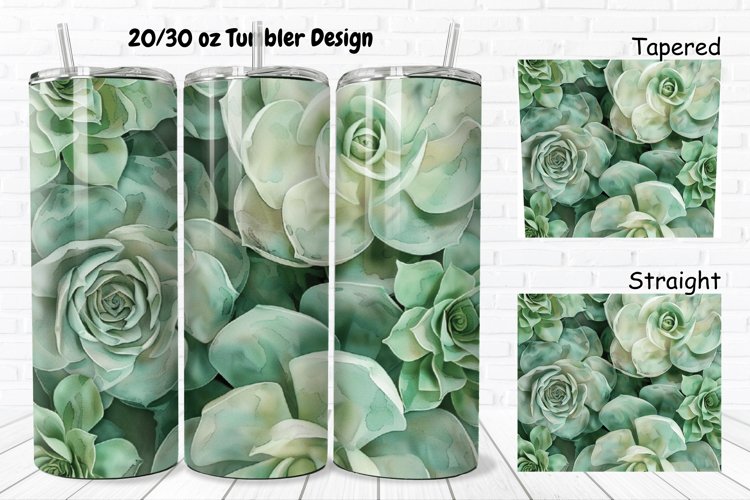 Watercolor Succulent Clipart Image 2