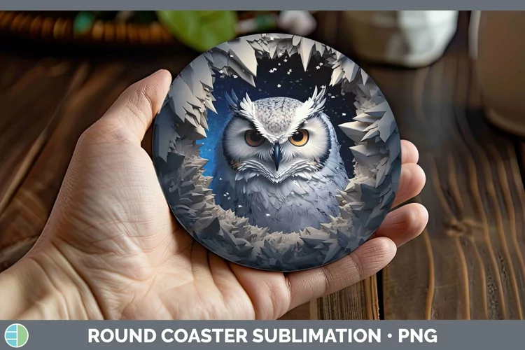 3D Winter Owl Round Coaster Sublimation Coaster Designs