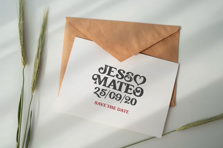 Creative Vintage Serif & Script fonts