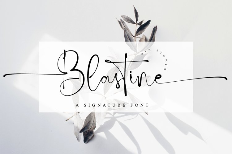 Blastine-Beautiful Signature Font example image 1