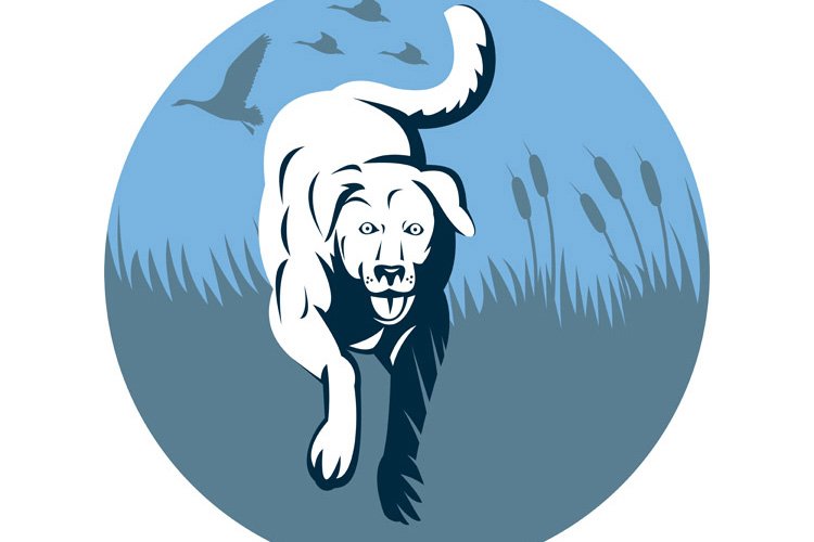 Germ Clipart Image 2