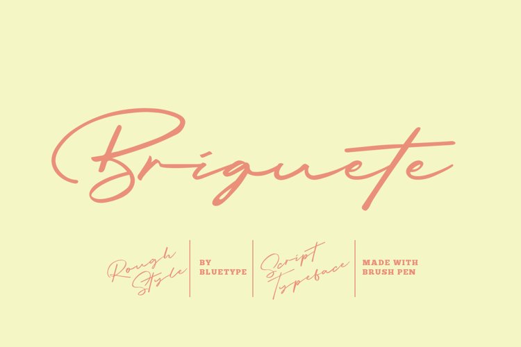 Briquete - Natural Brush Font example image 1