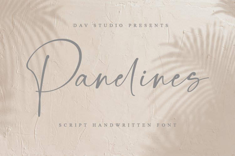 Panelines - Script Handwritten Font example image 1