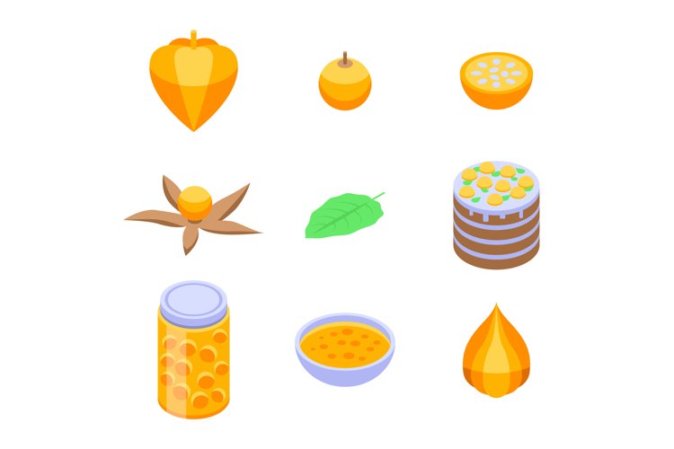 Physalis icons set, isometric style