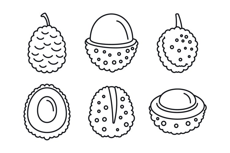 Fruit Icon Image 9