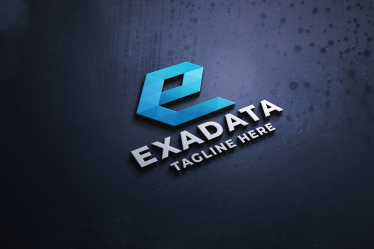 Exa Data Letter E Pro Logo Template