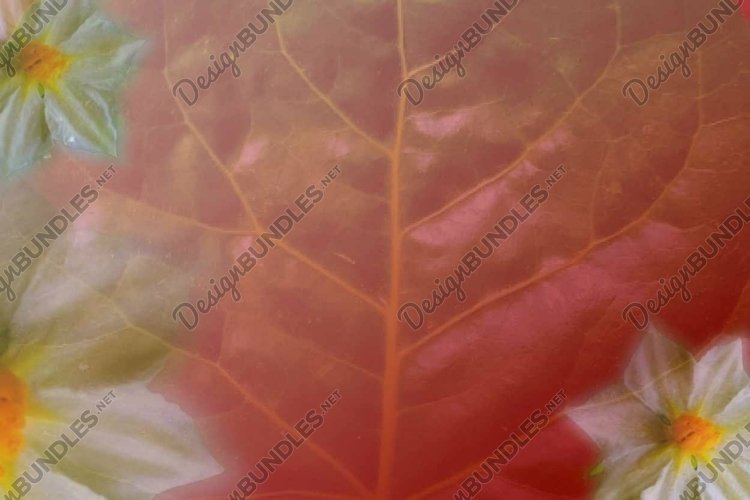 abstract floral sublimation   printing