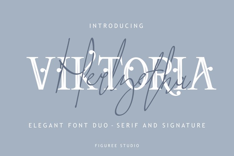 Viktoria // Elegant Font Duo example image 1