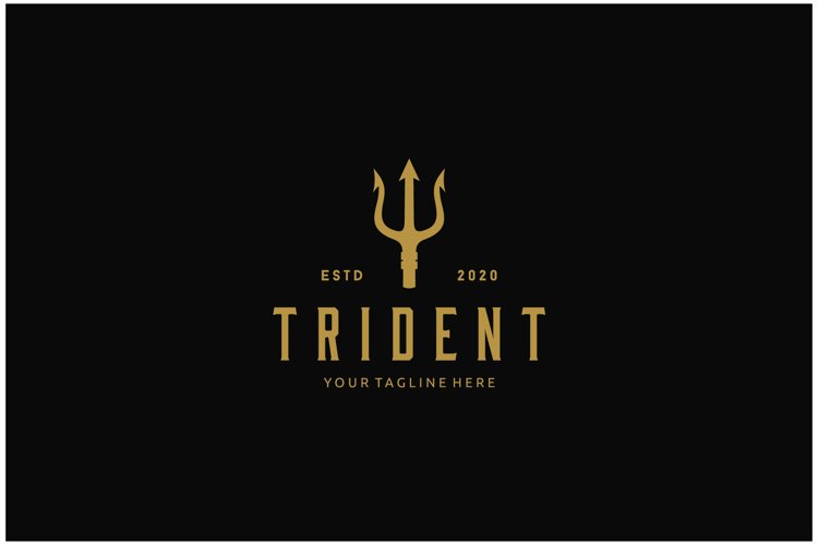 King Vector Image 23