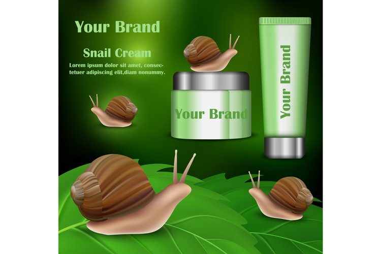 Snail Illustration Image 5