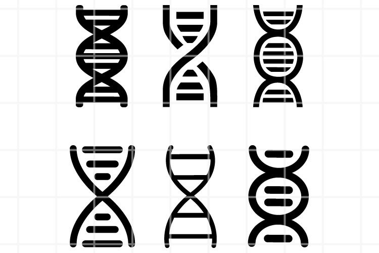Dna Vector Image 2