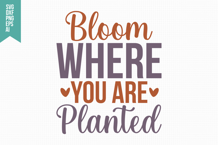 Bloom Where You Are Planted Svg, Funny Sarcastic Svg