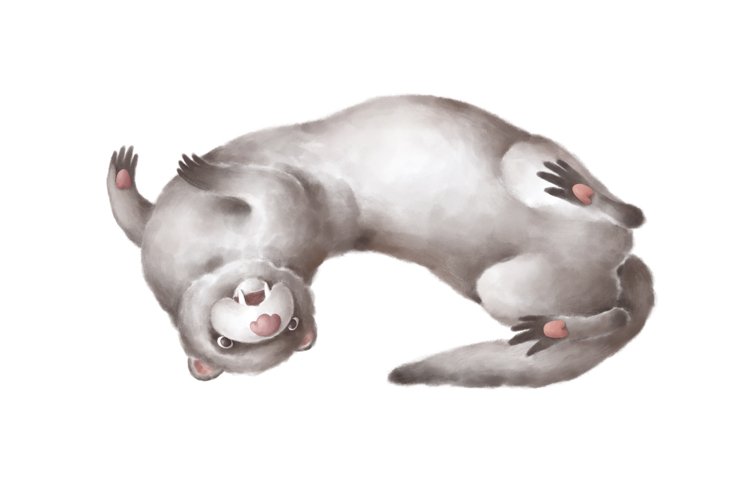 Ferret Clipart Image 16