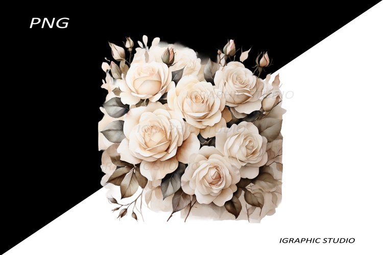 White Flowers Png Image 4