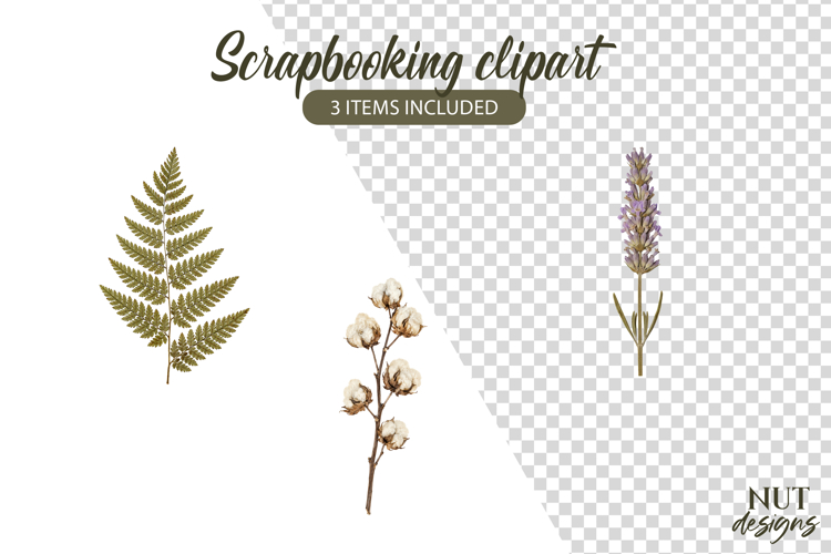 Pressed Flowers Clipart Floral Scrapbooking fern cotton example image 1