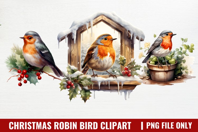 Robin Clipart Image 11