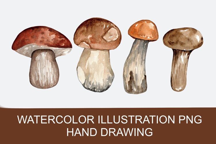 Watercolor autumn mushrooms PNG, hand-drawn example image 1