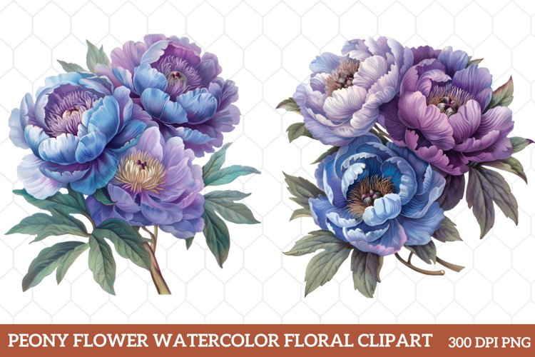 Border Clipart Image 11