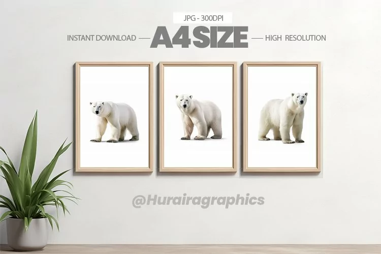 Animal Wall Art - 03 Variations