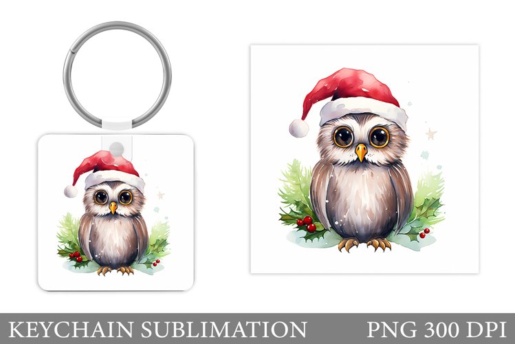 Owl Clipart Image 6