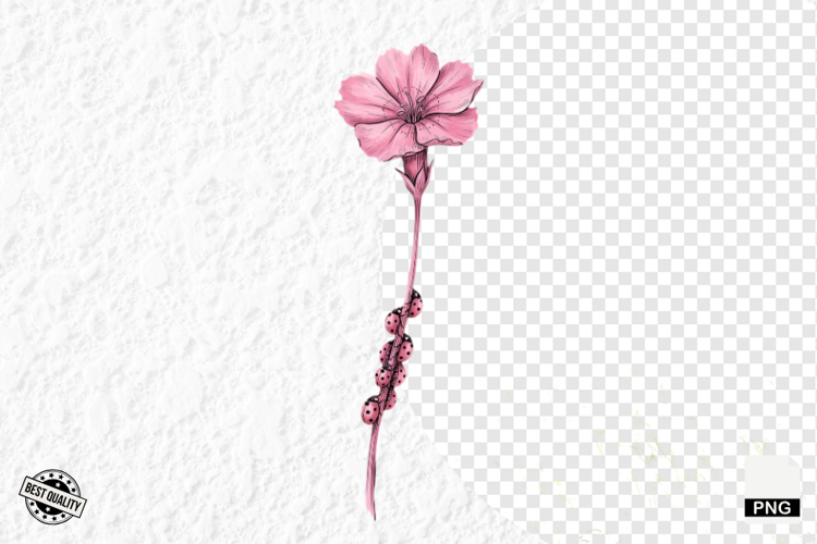 Lady Bug Clipart Image 23