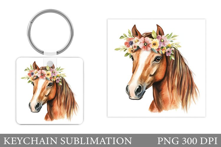 Cute Horse Pictures Image 14