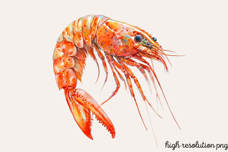 Animals Png Image 11