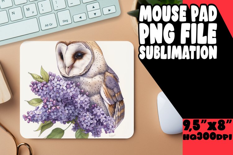 Owl Clipart Image 23
