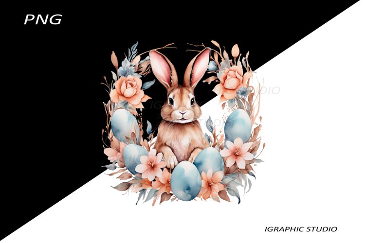 Egg Png Image 23