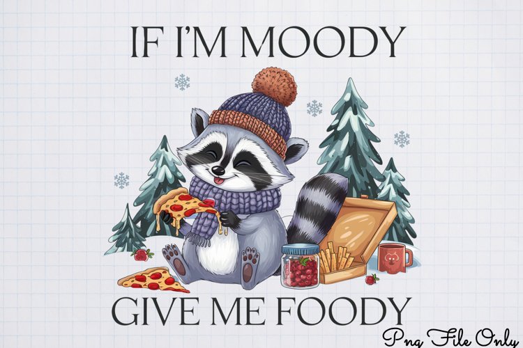 Raccoon Png Image 11