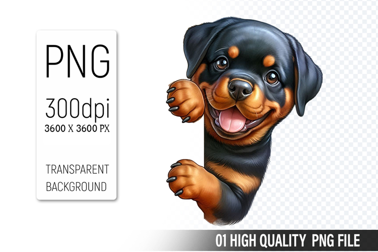 Dog Png Image 5